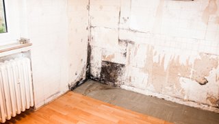 Schimmelbefallene Zimmerecke mit stark beschädigter Wandoberfläche